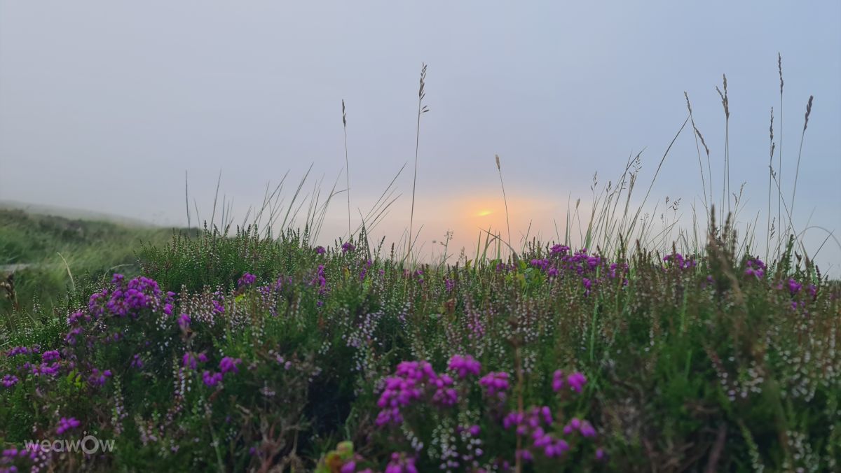 Weather Photos in Ireland. Weather forecasts with beautiful photos by Giz