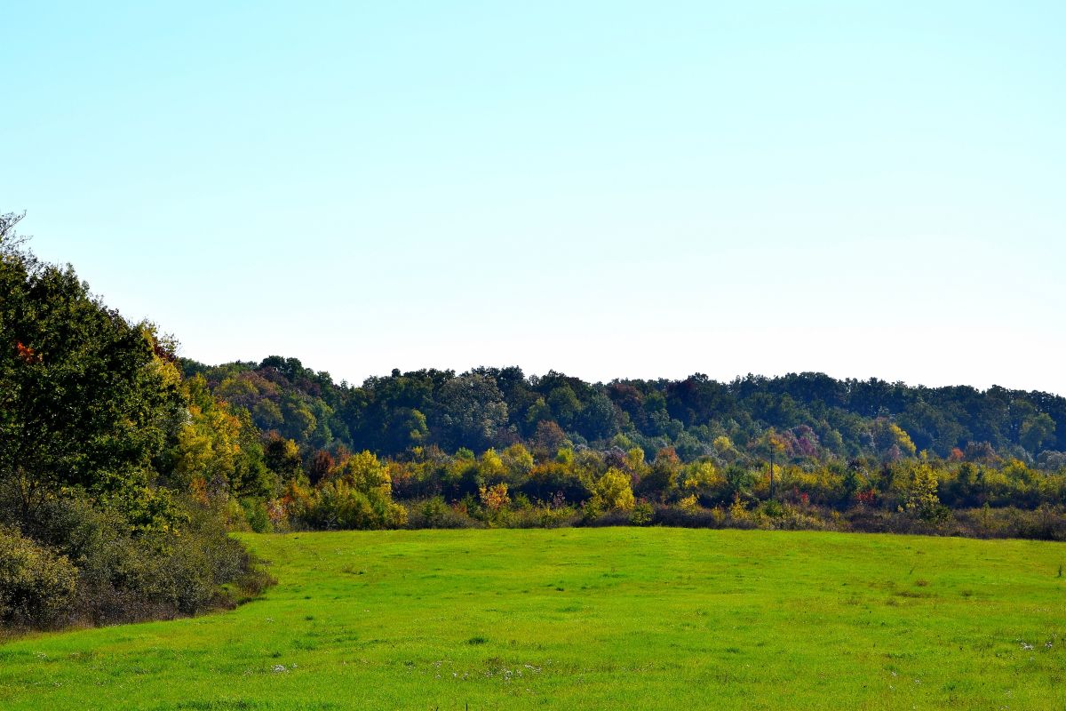 Weather Photos in Pişchia. Weather forecasts with beautiful photos by ConstantinR