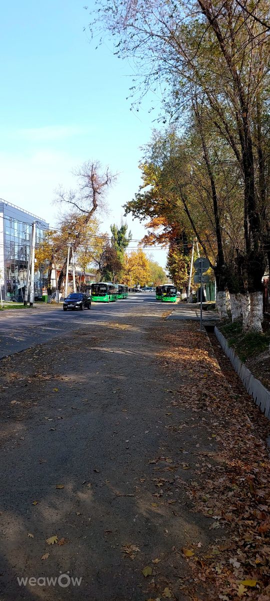 Fotos sobre el clima en Almaty Oblysy. Pronósticos del tiempo con hermosas fotos de Тимур Наурызбаев