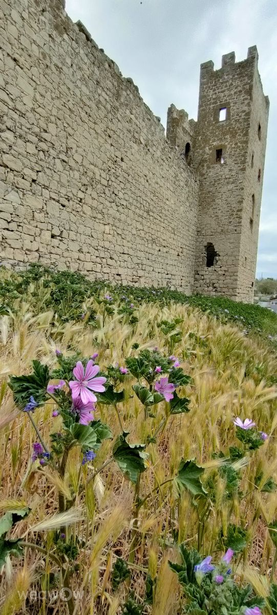 Wetter Photos Feodossija. Wettervorhersagen mit schönen Fotos von Елен