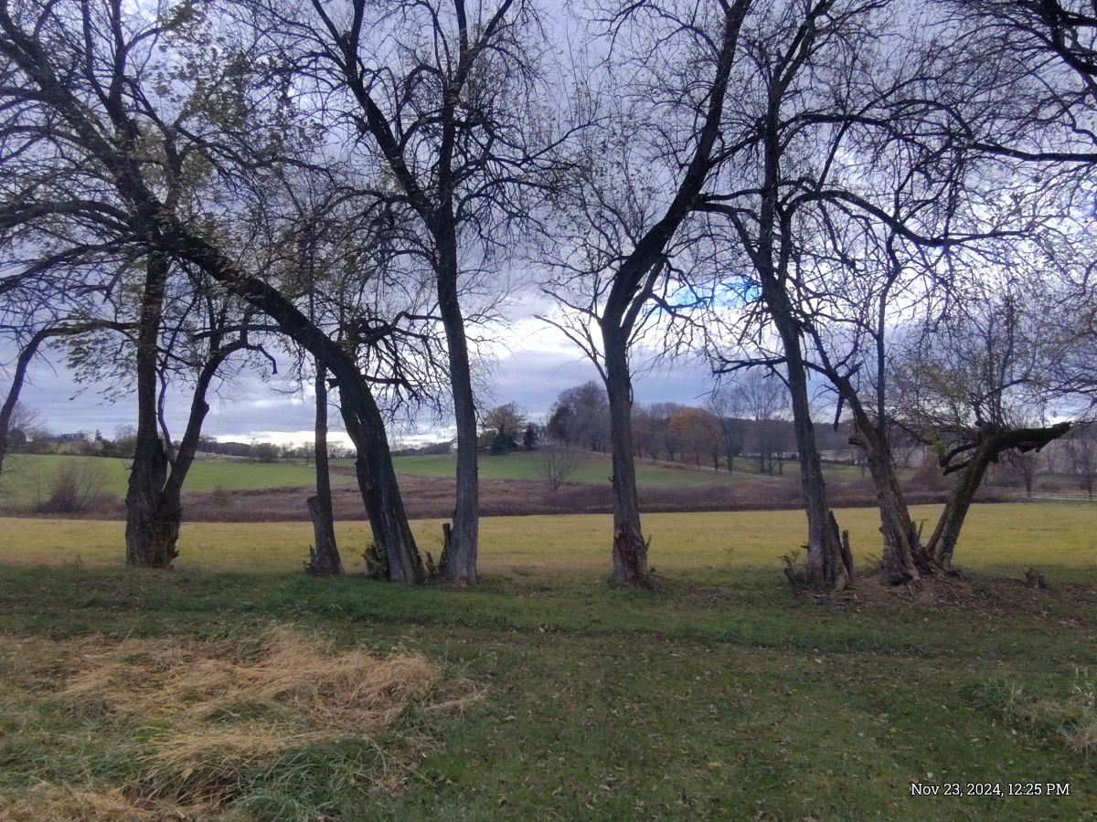 马里兰州的天气照片. 天气预报，带Daniracz精美的照片