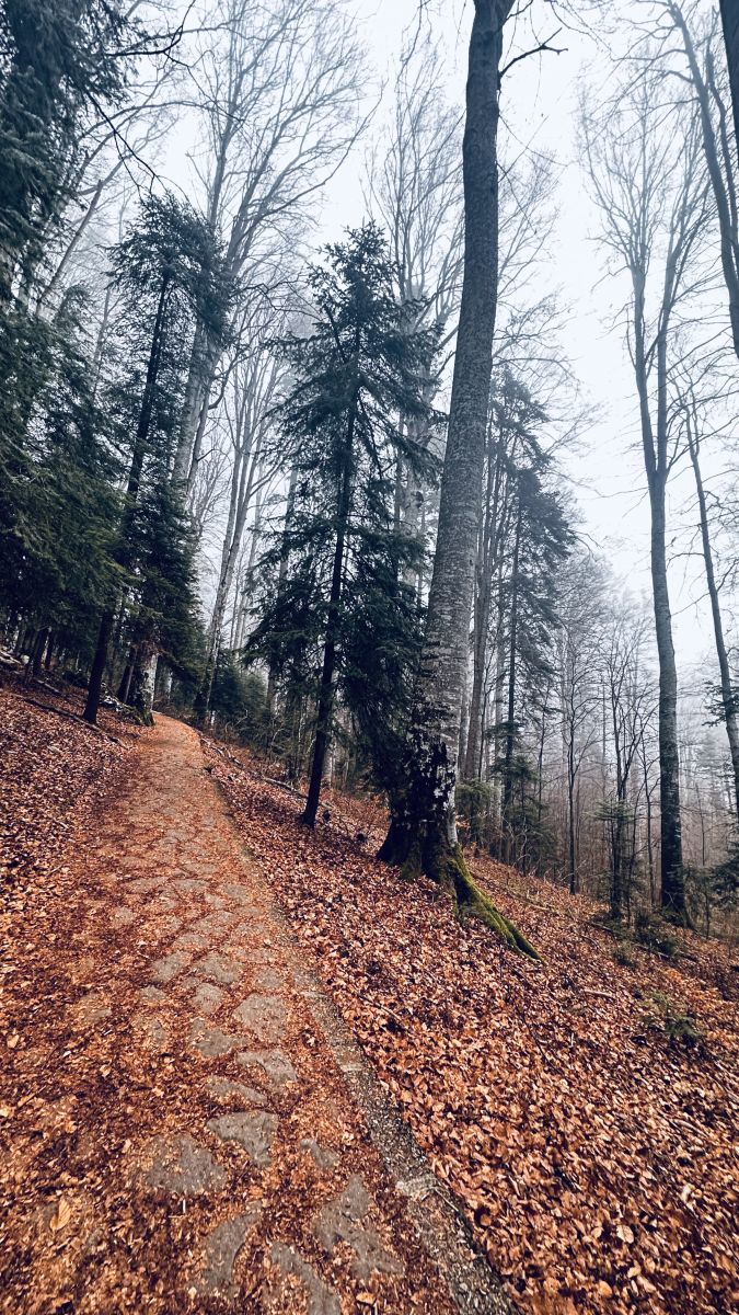 Weather Photos in Judetul Dambovita. Weather forecasts with beautiful photos by Mihai Lukács