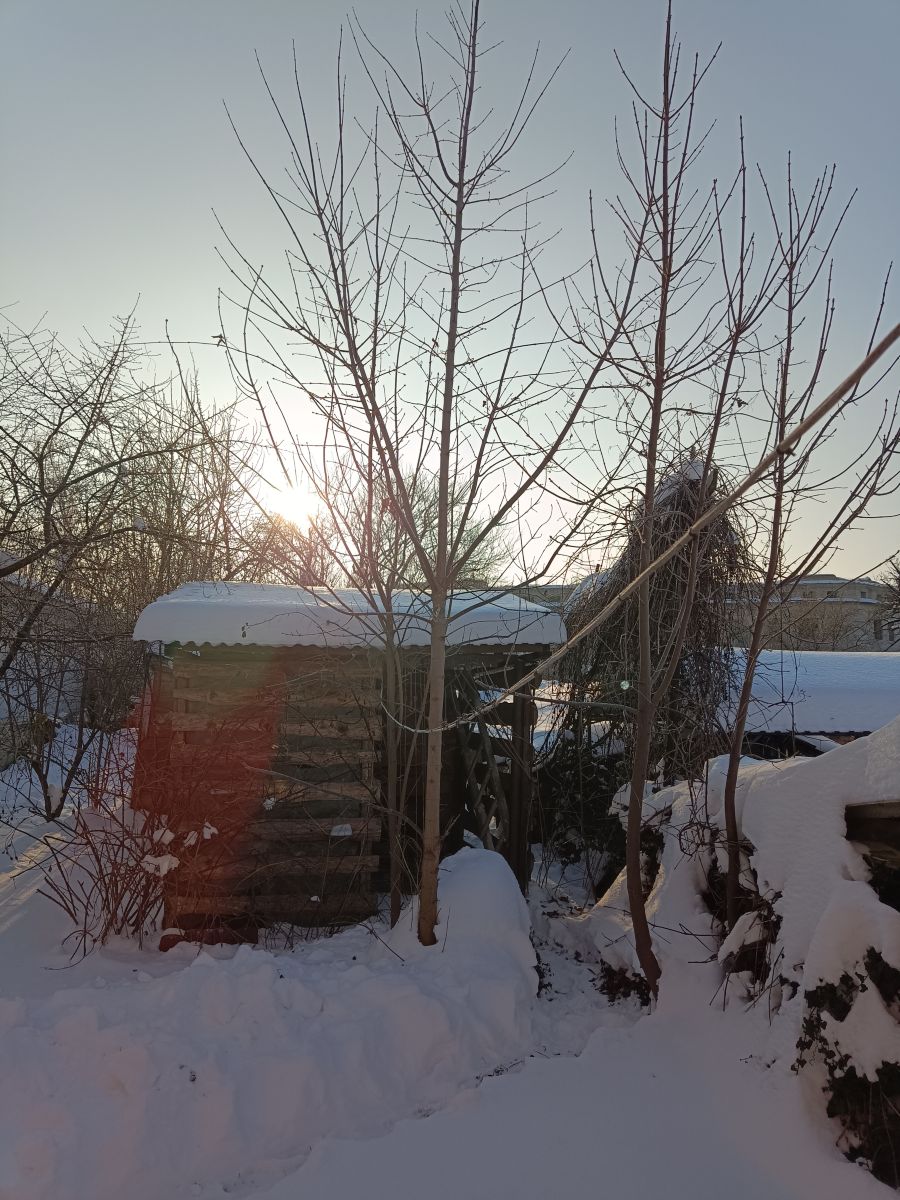 Fotos sobre el clima en Rivne. Pronósticos del tiempo con hermosas fotos de masterigors