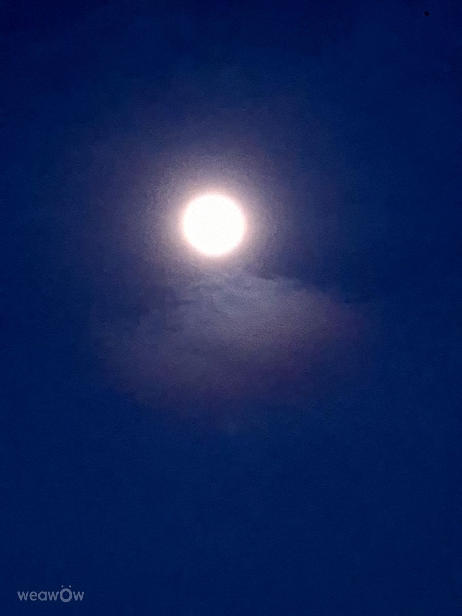 Photographer Wen-ya Huang, Weather Photos in Kaohsiung City - Weawow