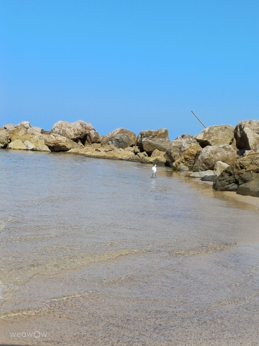 Fotos sobre el clima en Bat Yam. Pronósticos del tiempo con hermosas fotos de Zaza
