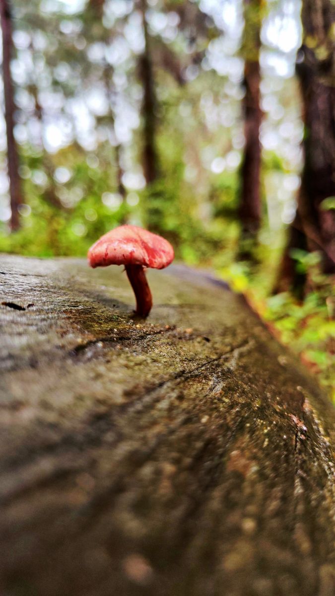 Weather Photos in Georgia. Weather forecasts with beautiful photos by dorofeiSHIN