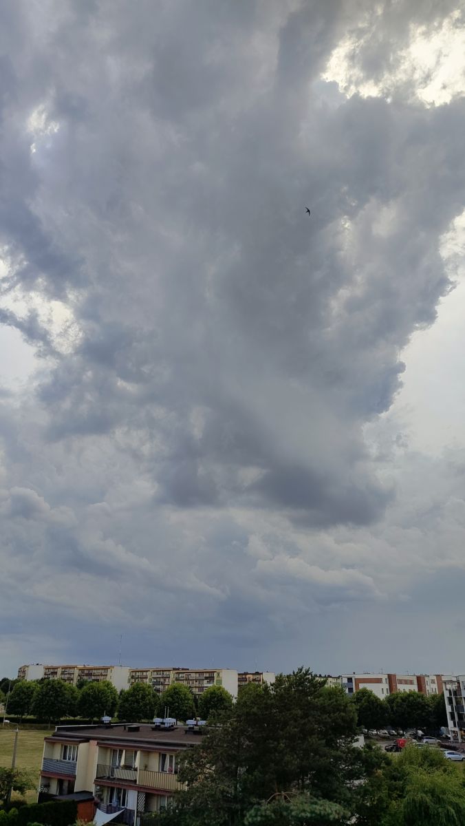 Fotógrafo Romek58, Fotos sobre el clima en Wieluń - Weawow