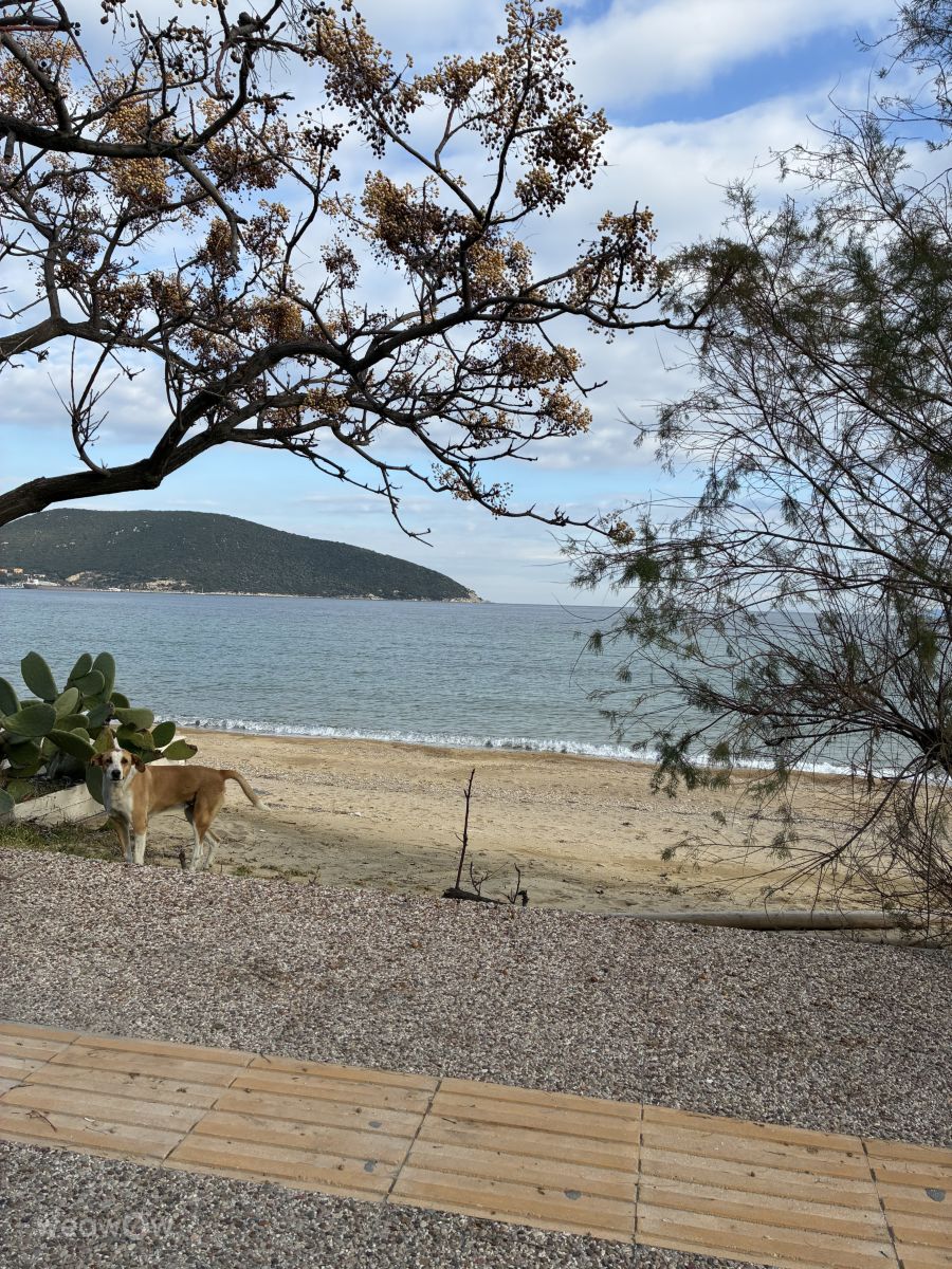 Фотографии Погоды в Греция. Прогнозы погоды с чудесными фотографиями, сделанными cigov