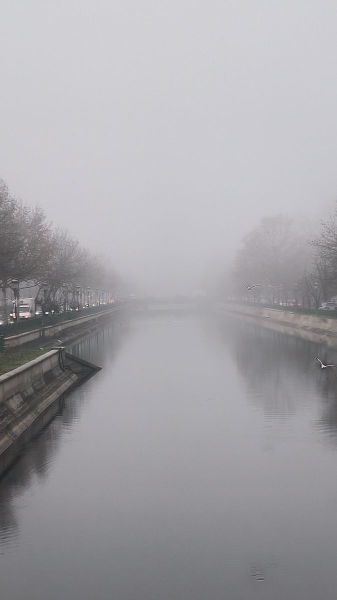 Fotos sobre el clima en Bucharest. Pronósticos del tiempo con hermosas fotos de YanBog