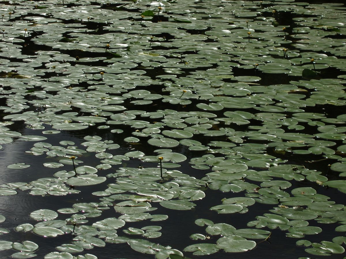 Hình ảnh Thời tiết ở Ukraina. Dự báo thời tiết với những bức ảnh đẹp của Diyanko