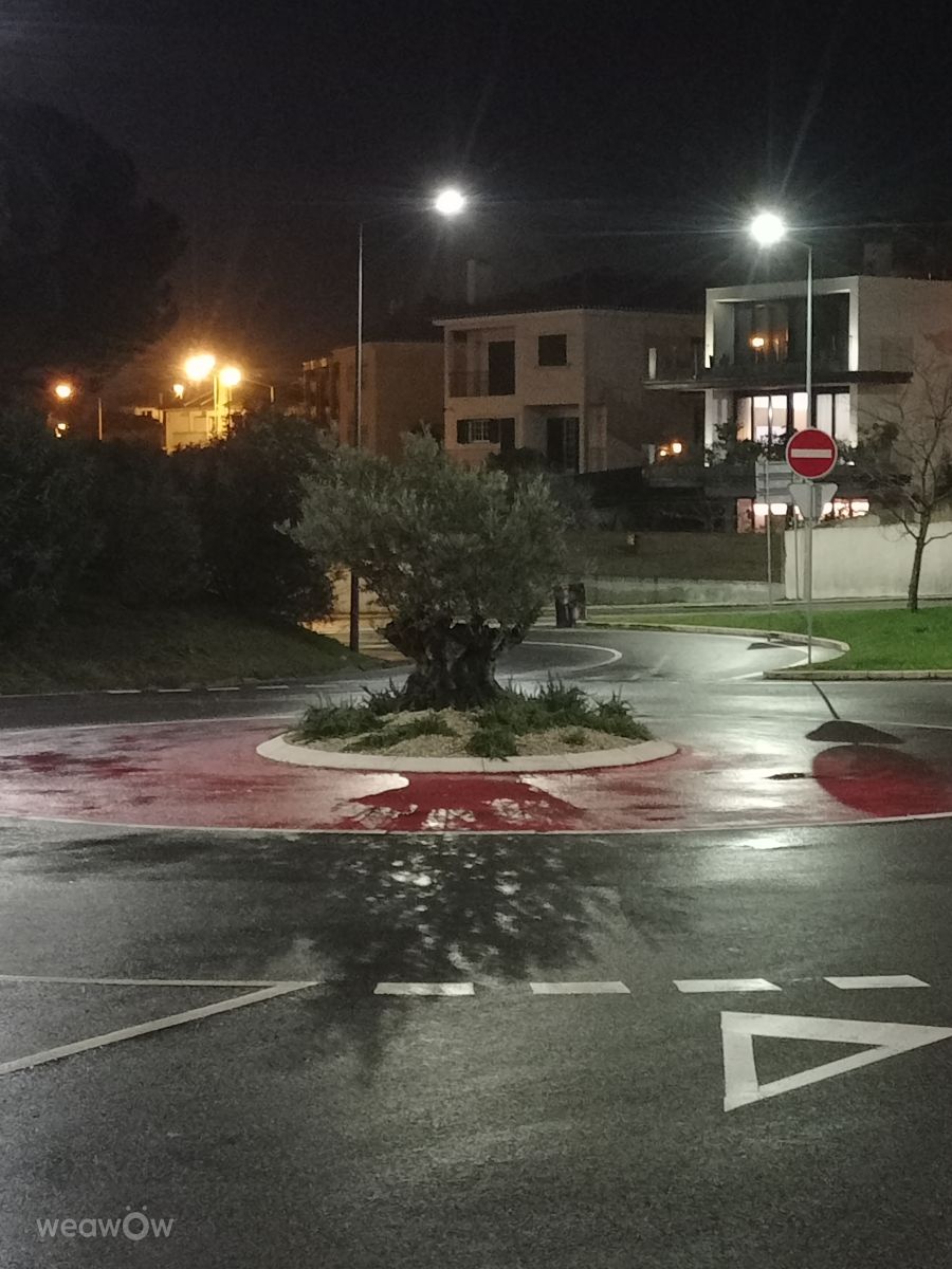 Weather forecasts with beautiful photos by Joaquim Fonseca