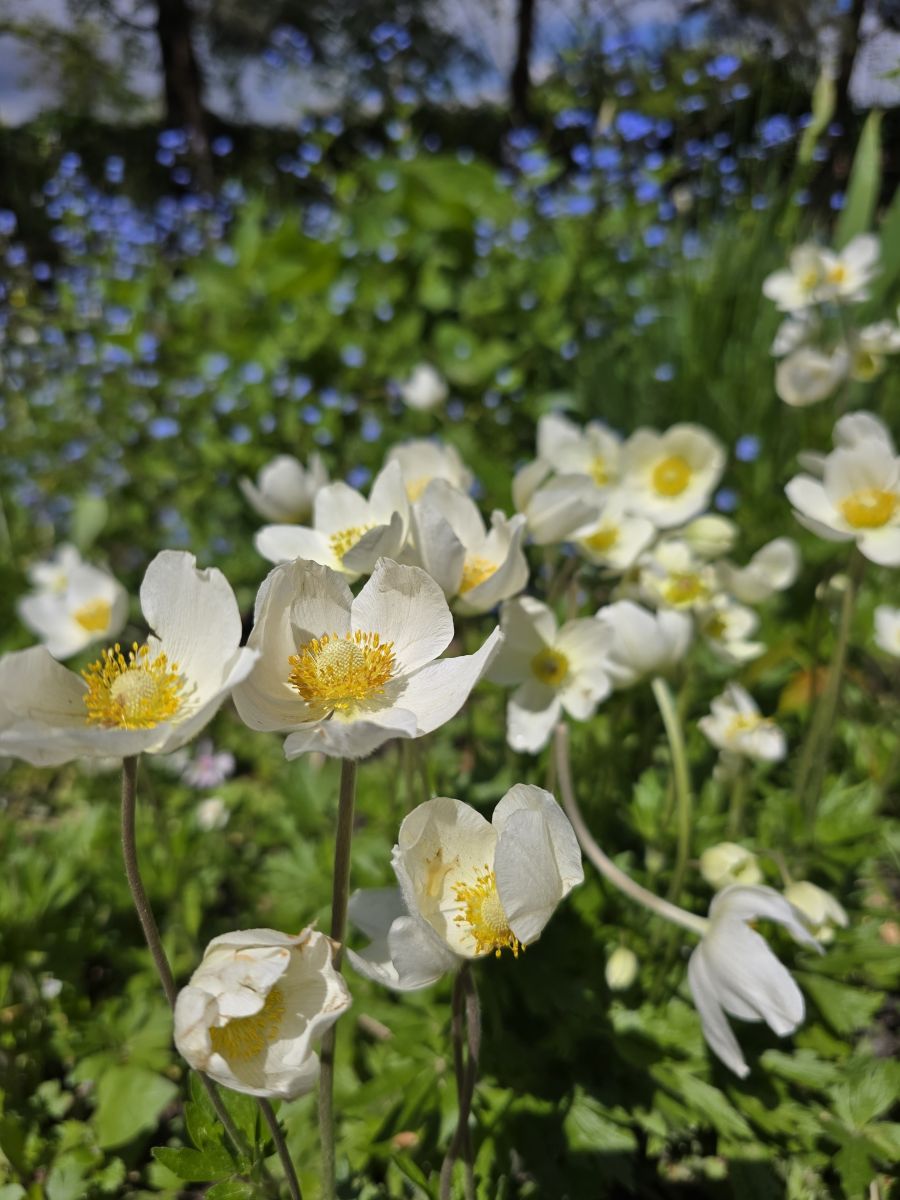 Weather Photos in Vyshneve. Weather forecasts with beautiful photos by Ihor_ua