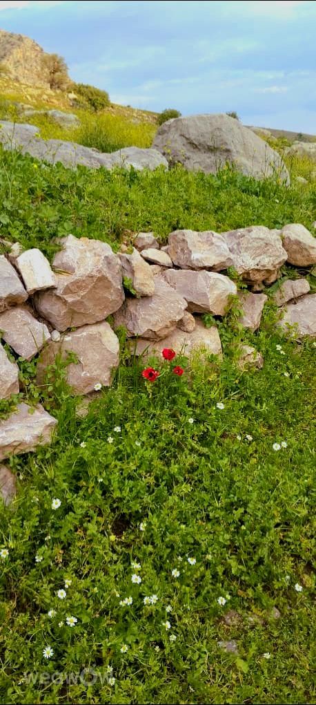 Photographer Ghasedak, Weather Photos in Sūsan - Weawow
