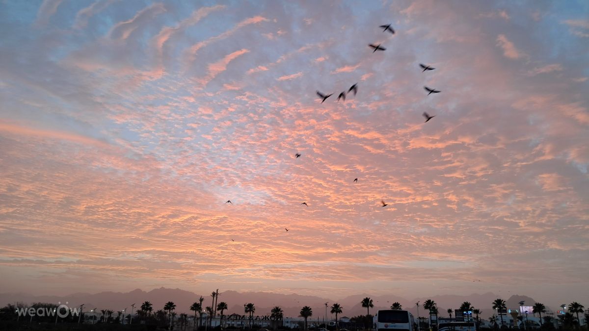 Photos météo à Égypte. Prévisions météo avec de superbes photos de Emlianix