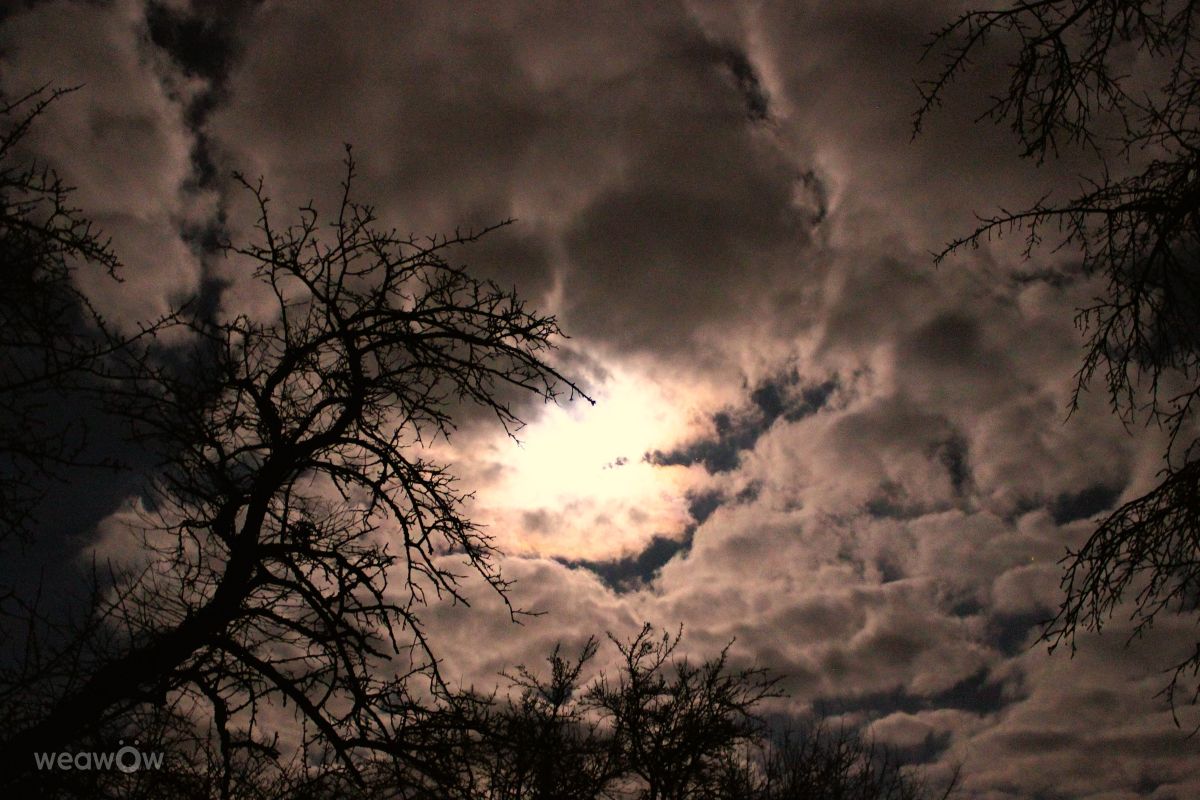 Weather Photos in Ortenau. Weather forecasts with beautiful photos by Der-Bueffel