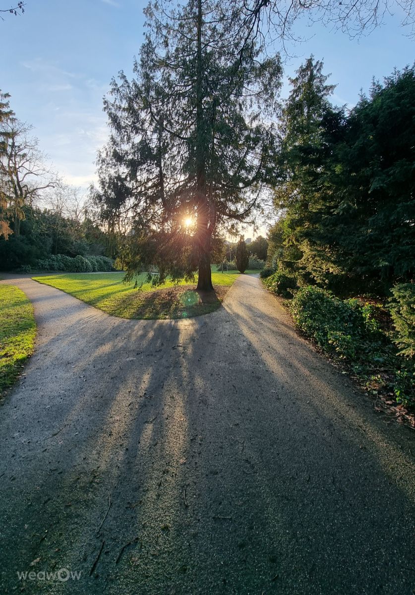 Weather forecasts with beautiful photos by Mo-Ma