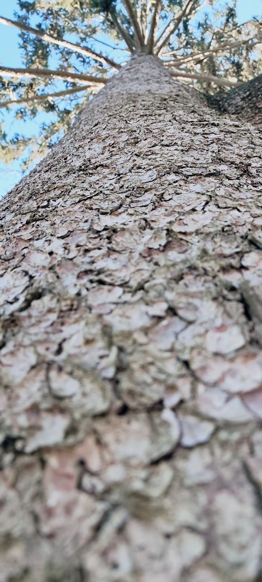 Photographer Tercis, Weather Photos in Ettlingen - Weawow