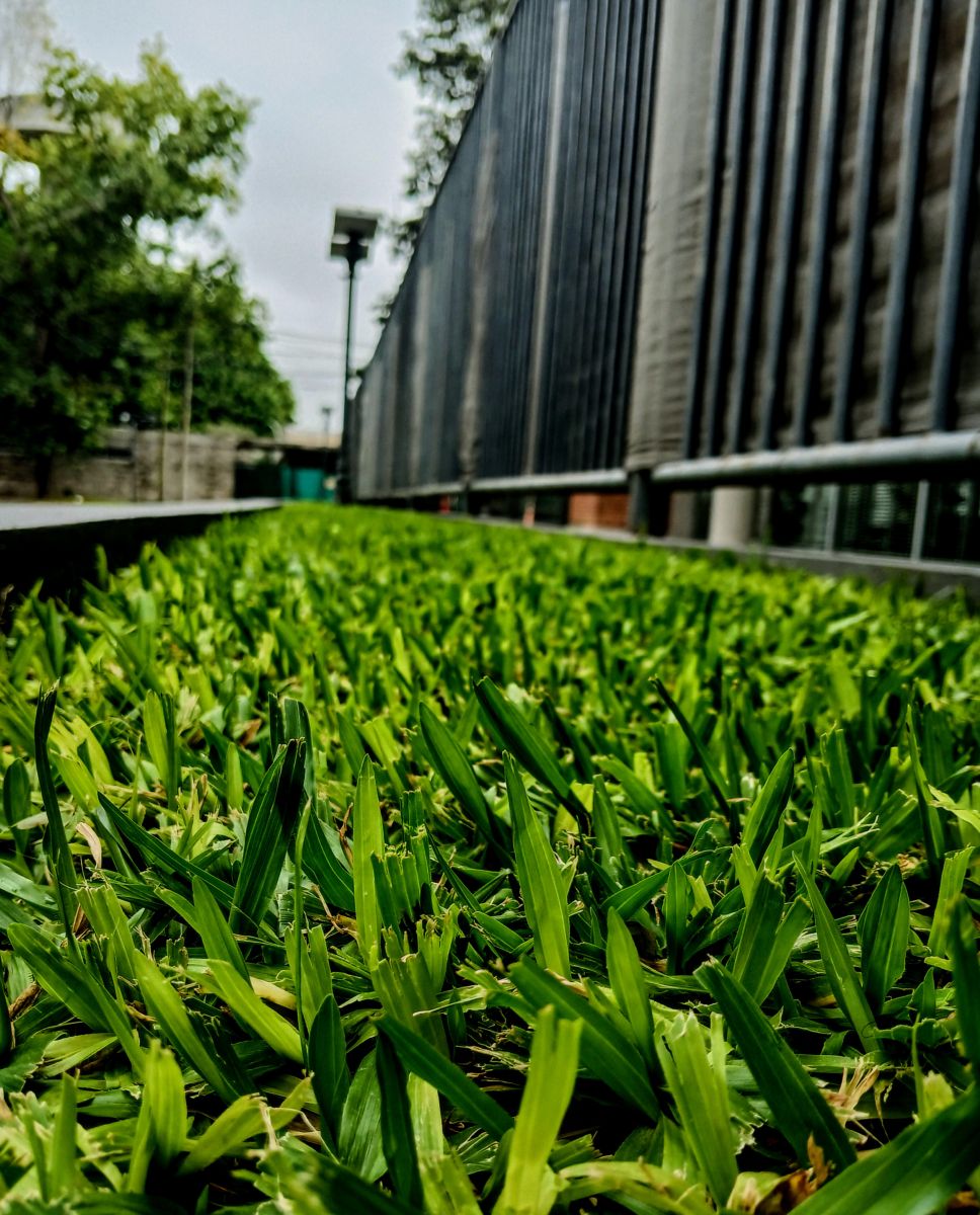 Weather Photos in Olivos. Weather forecasts with beautiful photos by SEBASTIAN14