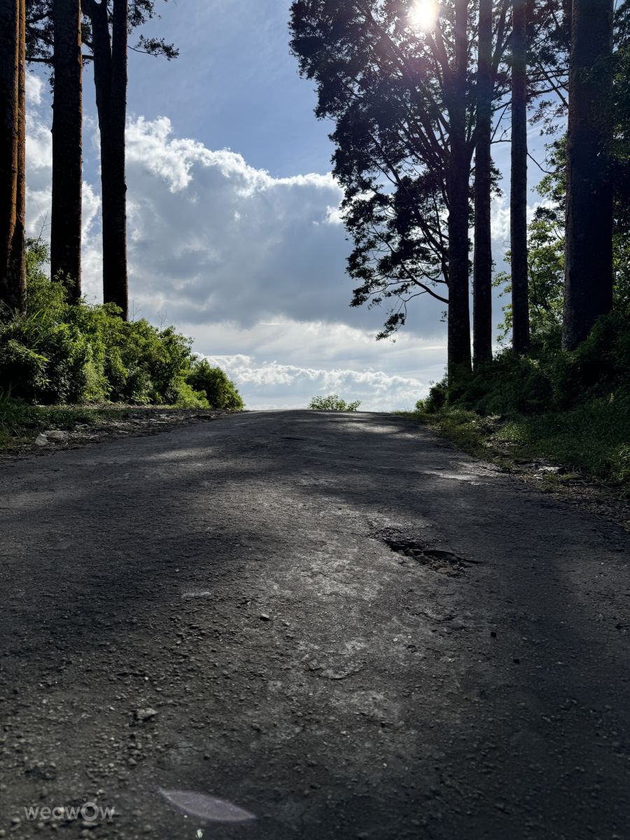 Weather Photos in Sri Lanka. Weather forecasts with beautiful photos by farhanf