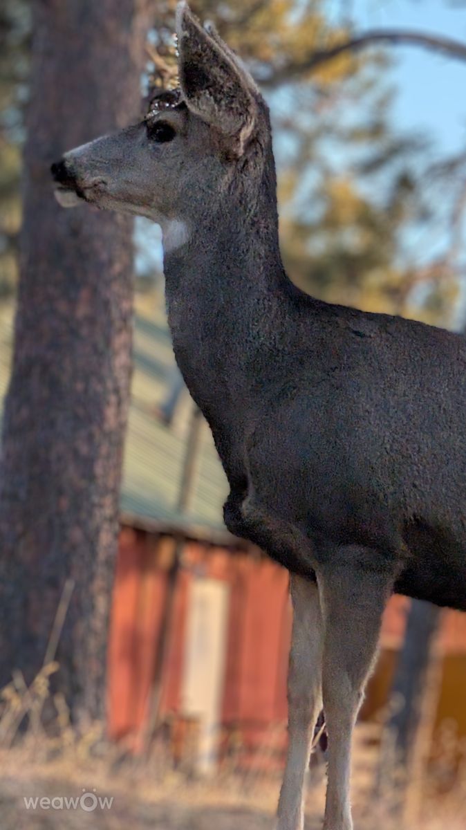 Wetter Photos Pine View Airport. Wettervorhersagen mit schönen Fotos von BonnieC85