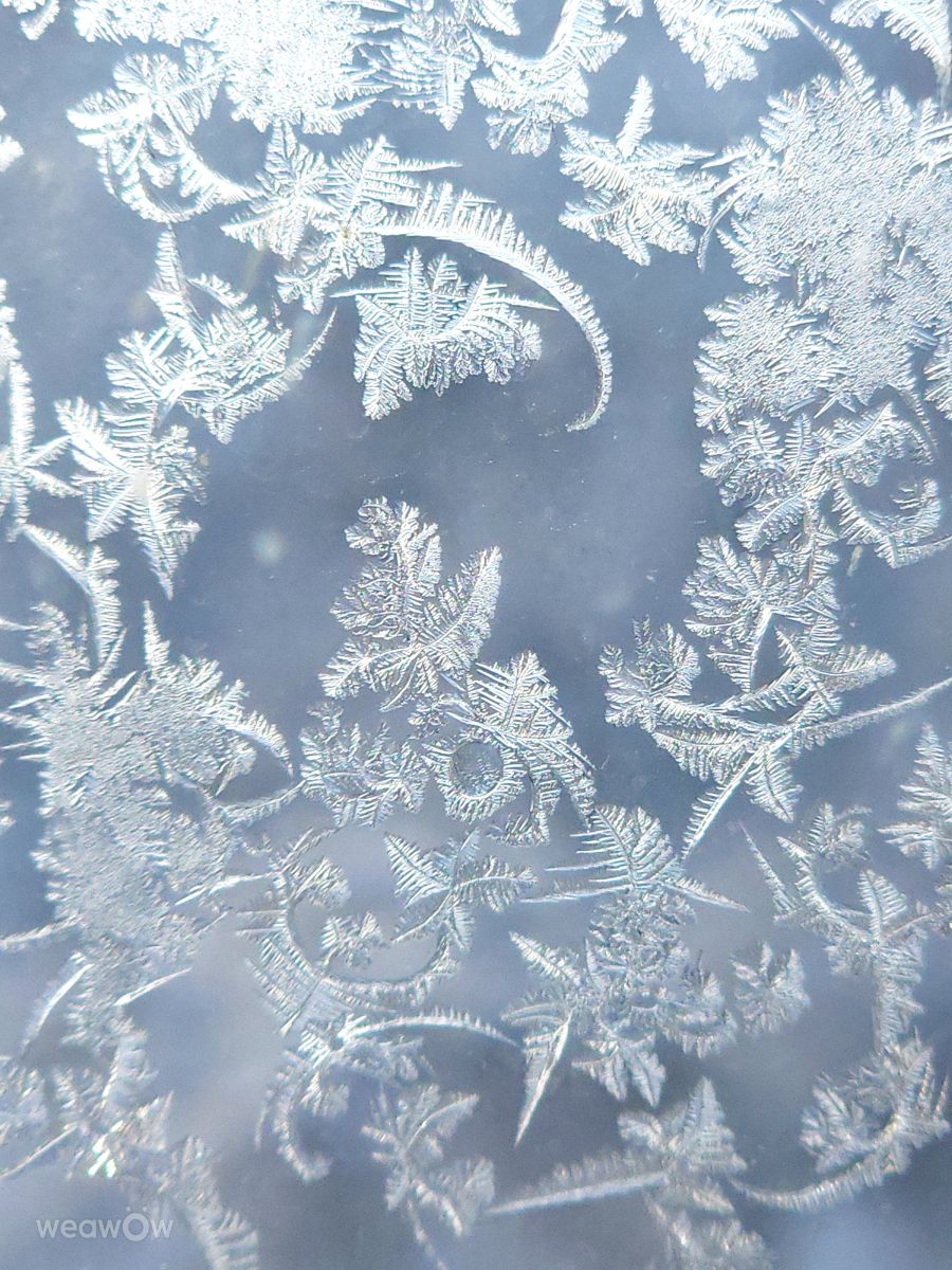 Прогнозы погоды с чудесными фотографиями, сделанными Ангелина Рыбянец