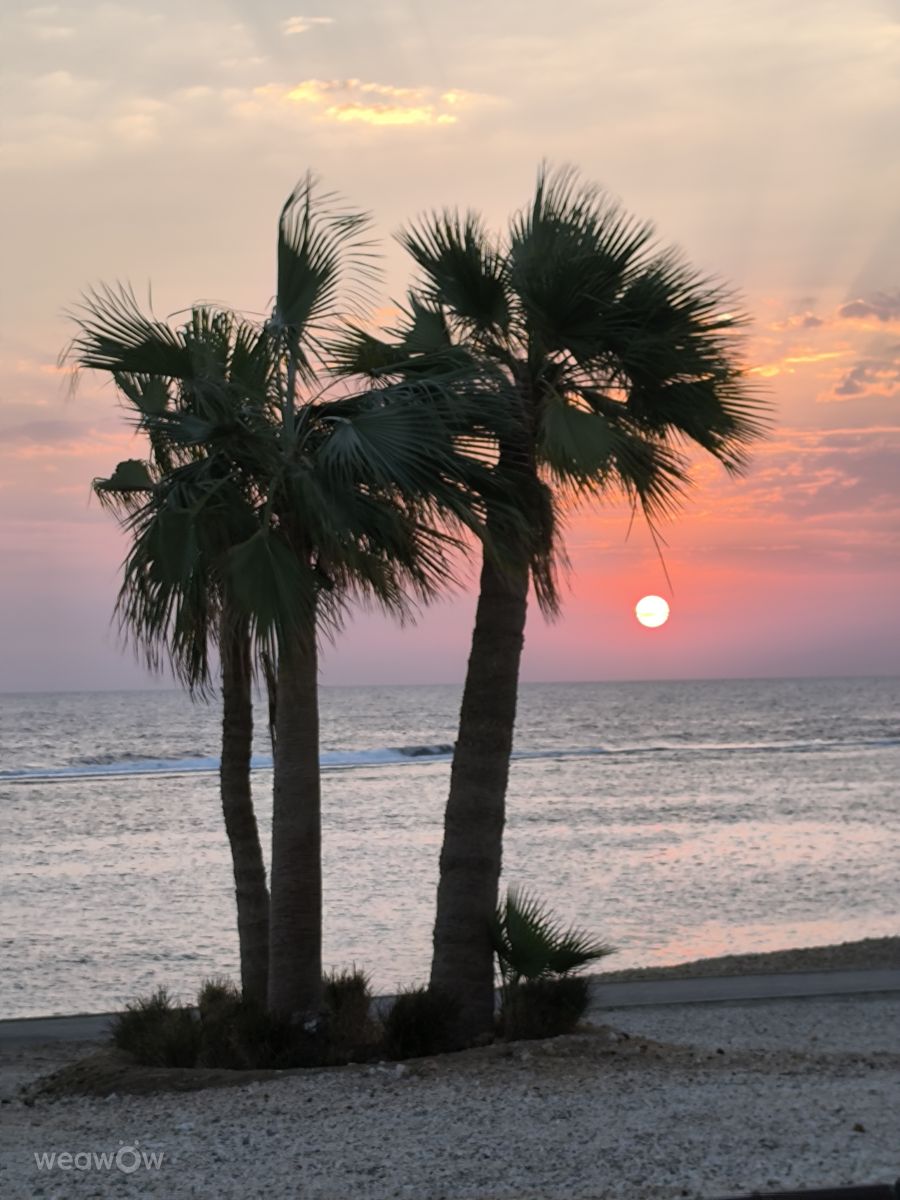 Weather Photos in Egypt. Weather forecasts with beautiful photos by ZloBr