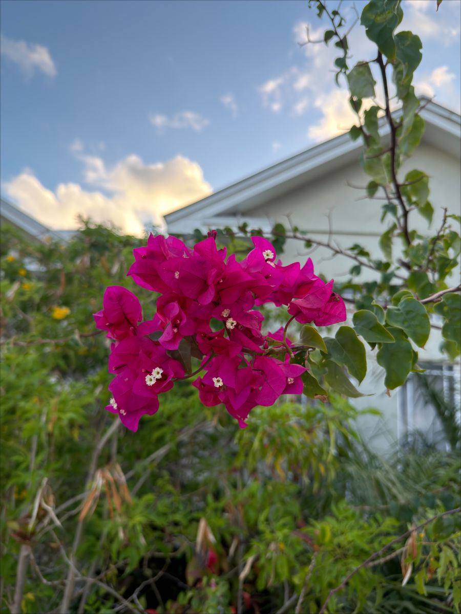 Weather Photos in Turks and Caicos Islands. Weather forecasts with beautiful photos by Roberto Padilla