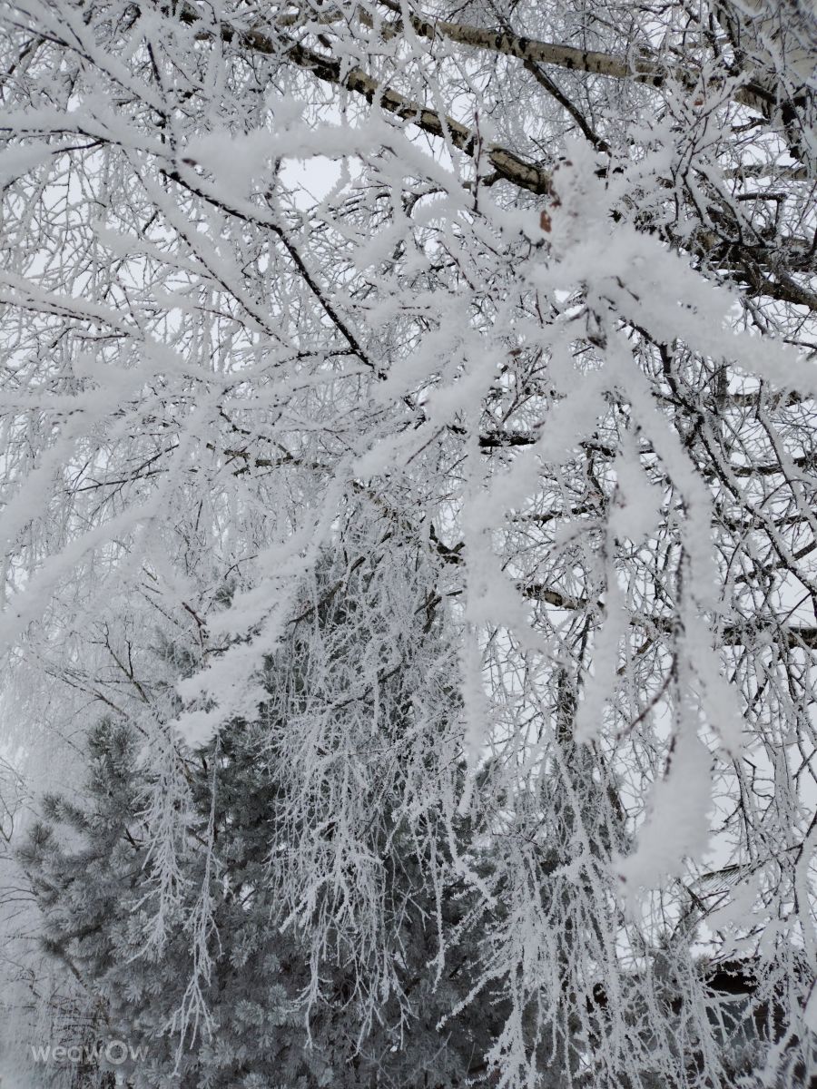 Weather Photos in Kirov Oblast. Weather forecasts with beautiful photos by Наталия_В