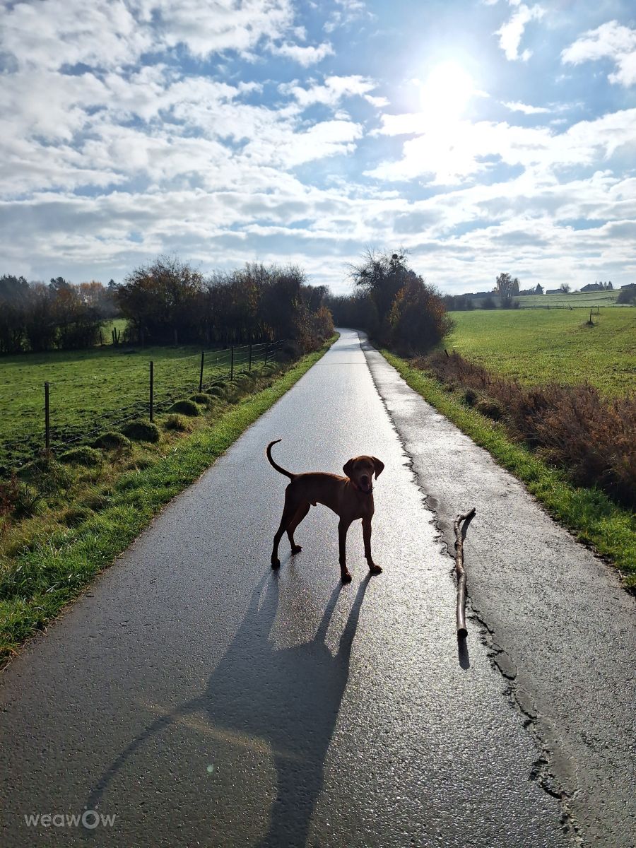 Weather Photos in Luxembourg. Weather forecasts with beautiful photos by lremmy