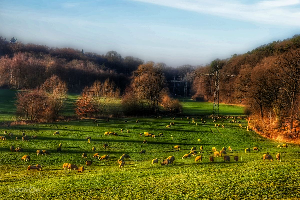 Gweilandの美しい写真による天気予報
