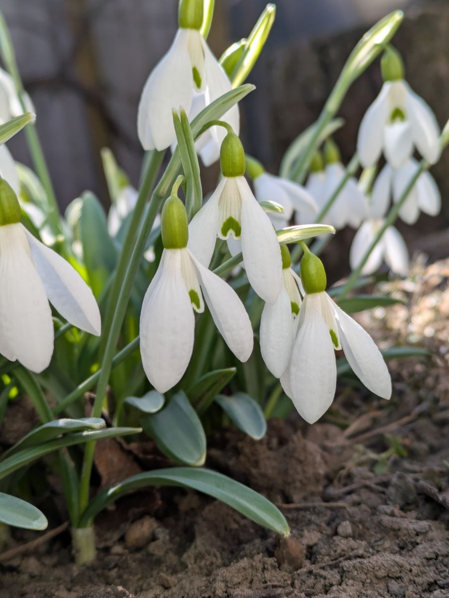 Weather Photos in Nikopol. Weather forecasts with beautiful photos by NataliaN