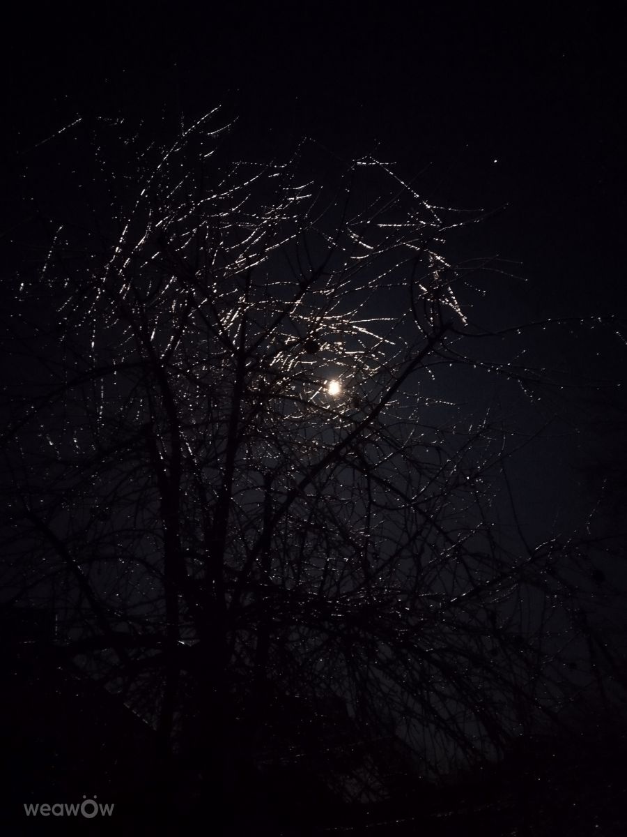 Weather Photos in Ukraine. Weather forecasts with beautiful photos by mikhai