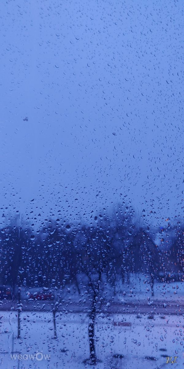 Photos météo à Palanga. Prévisions météo avec de superbes photos de Jazzinevirga