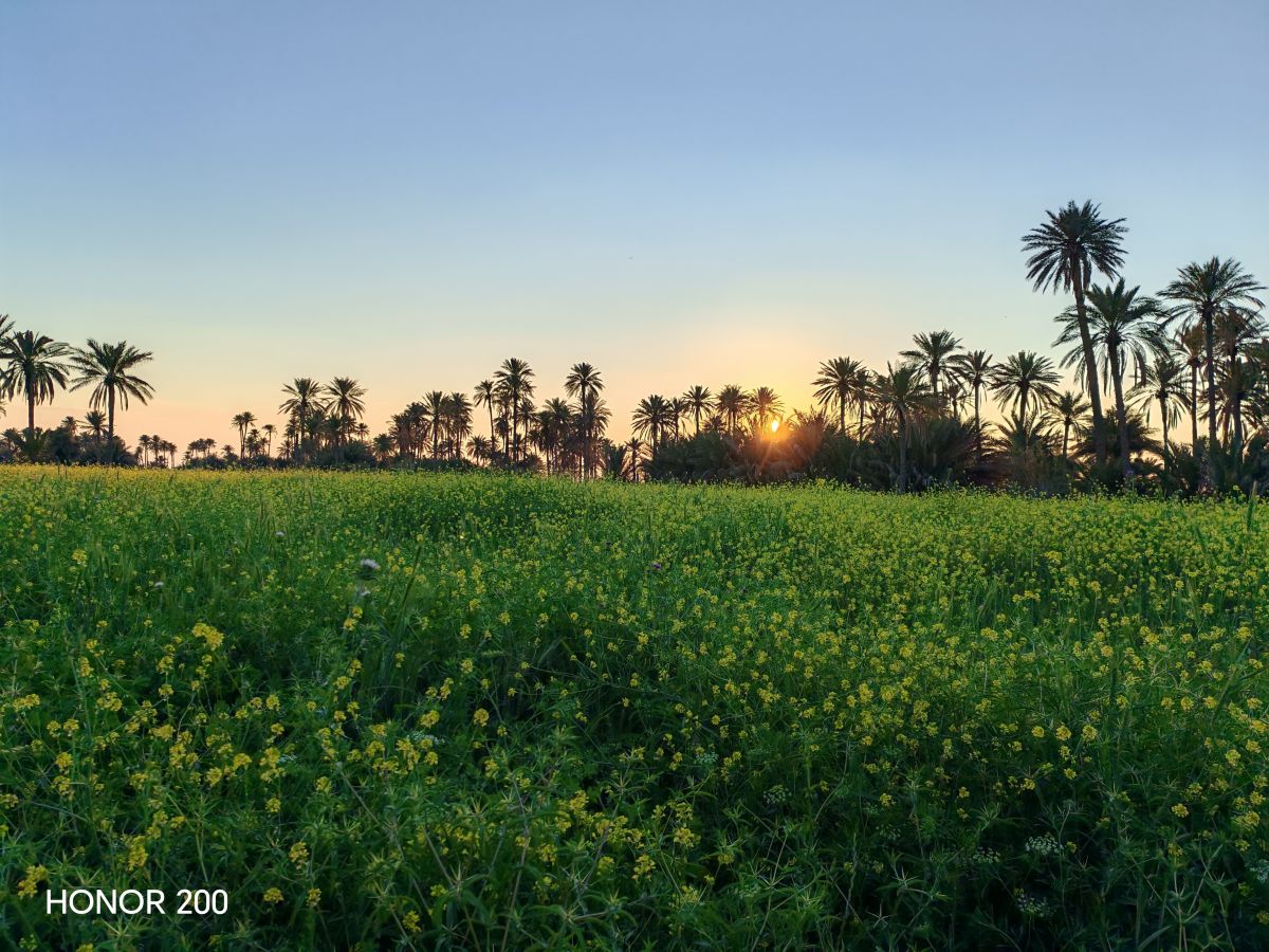 Weather forecasts with beautiful photos by فؤاد محمد محمود
