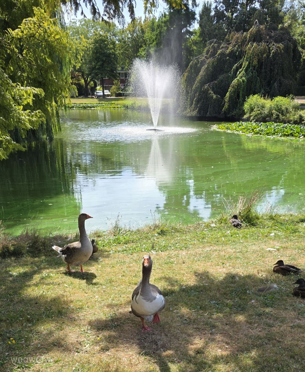 Photos météo à Monde. Prévisions météo avec de superbes photos de Mo-Ma