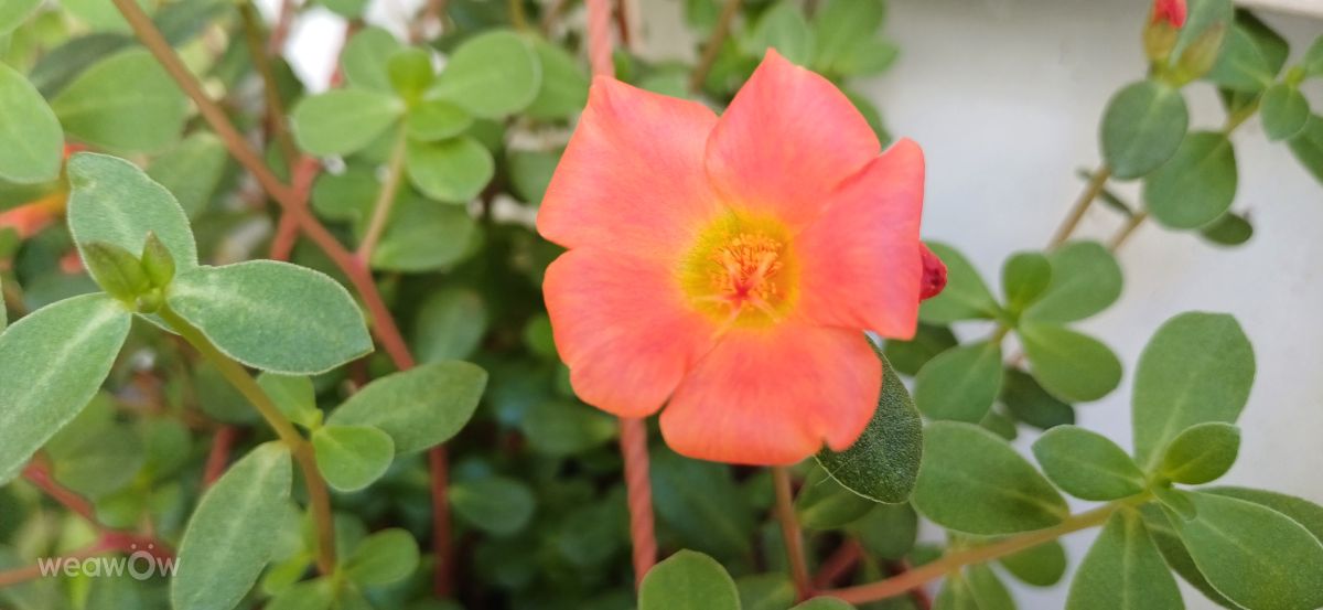 Photos météo à Holon. Prévisions météo avec de superbes photos de Zaza