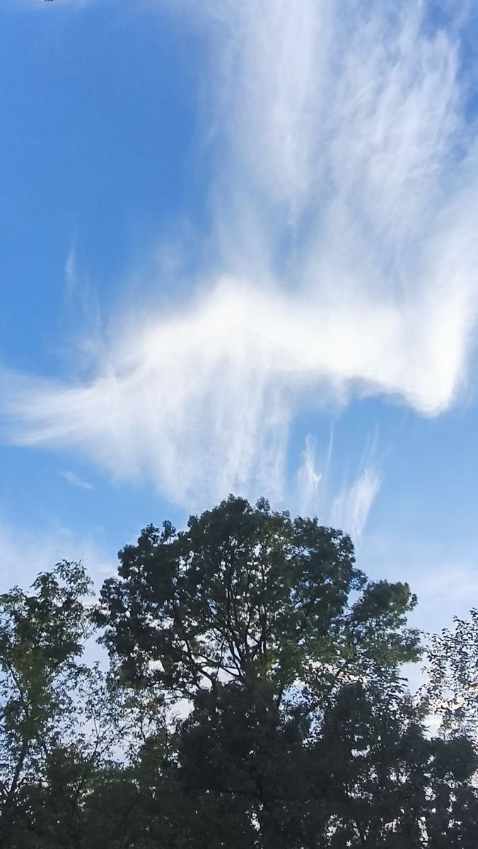 ブカレストの天気写真. YanBogの美しい写真による天気予報