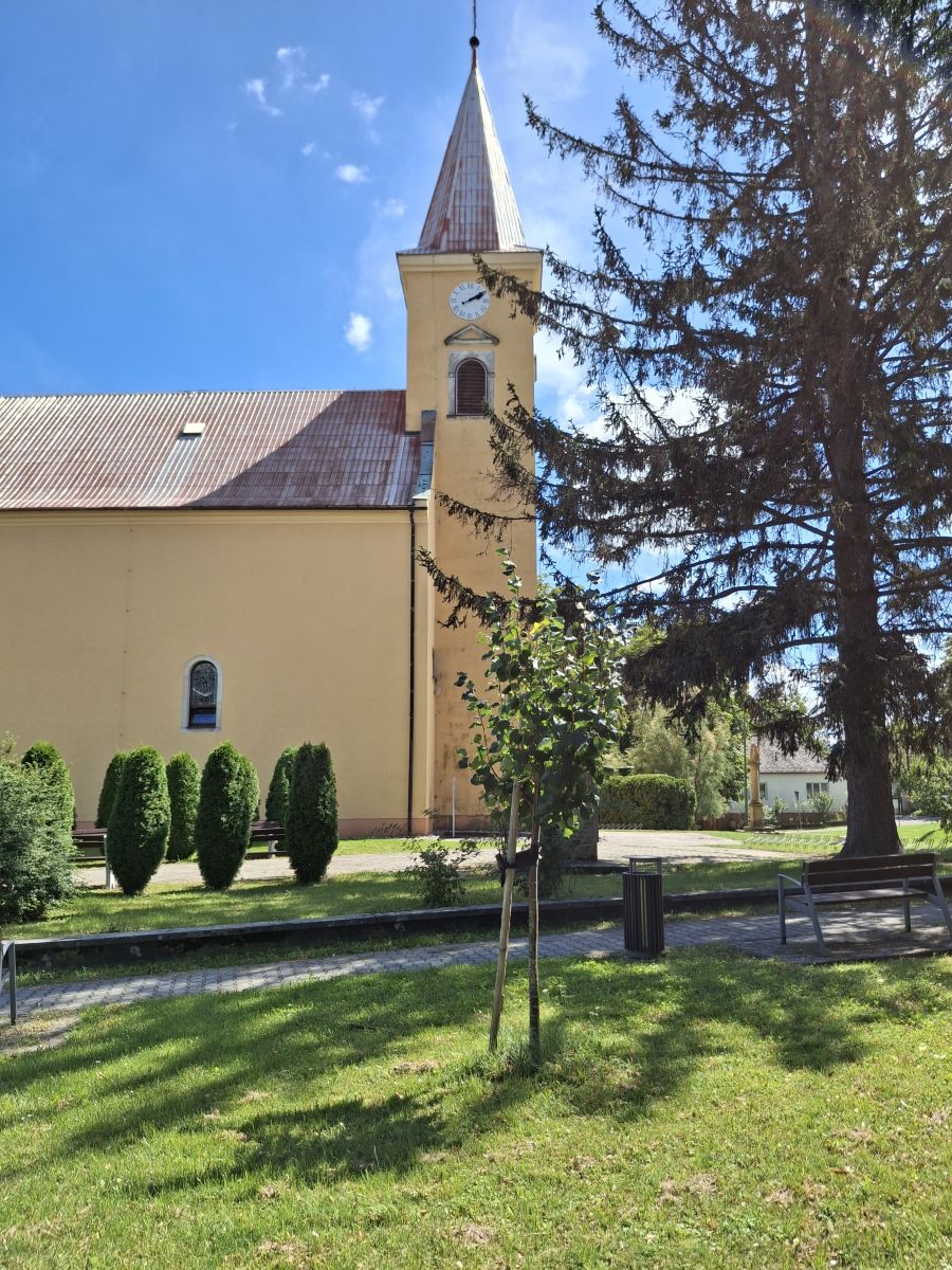 Weather Photos in Slovakia. Weather forecasts with beautiful photos by Bubu Cibulova