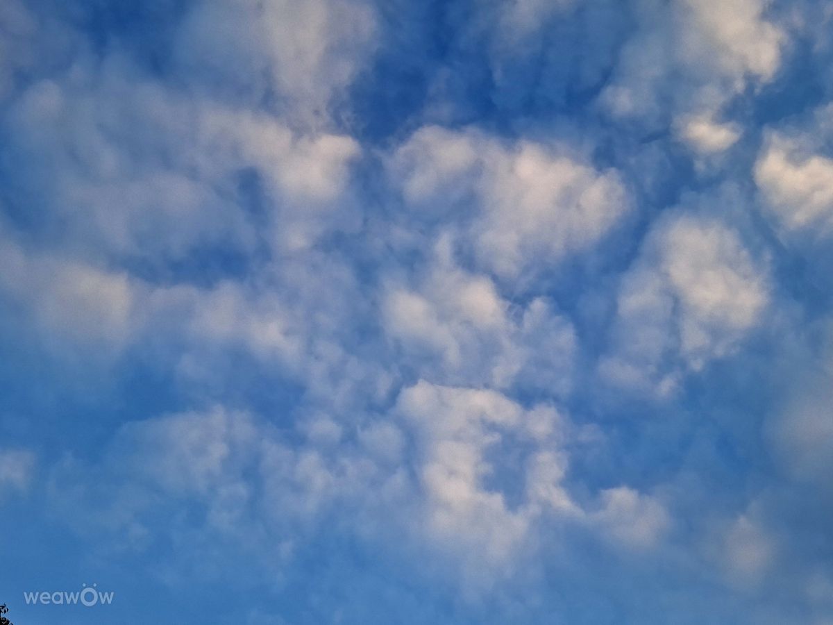 Fotografos Wen-ya Huang, Fotos do tempo em Kaohsiung City - Weawow