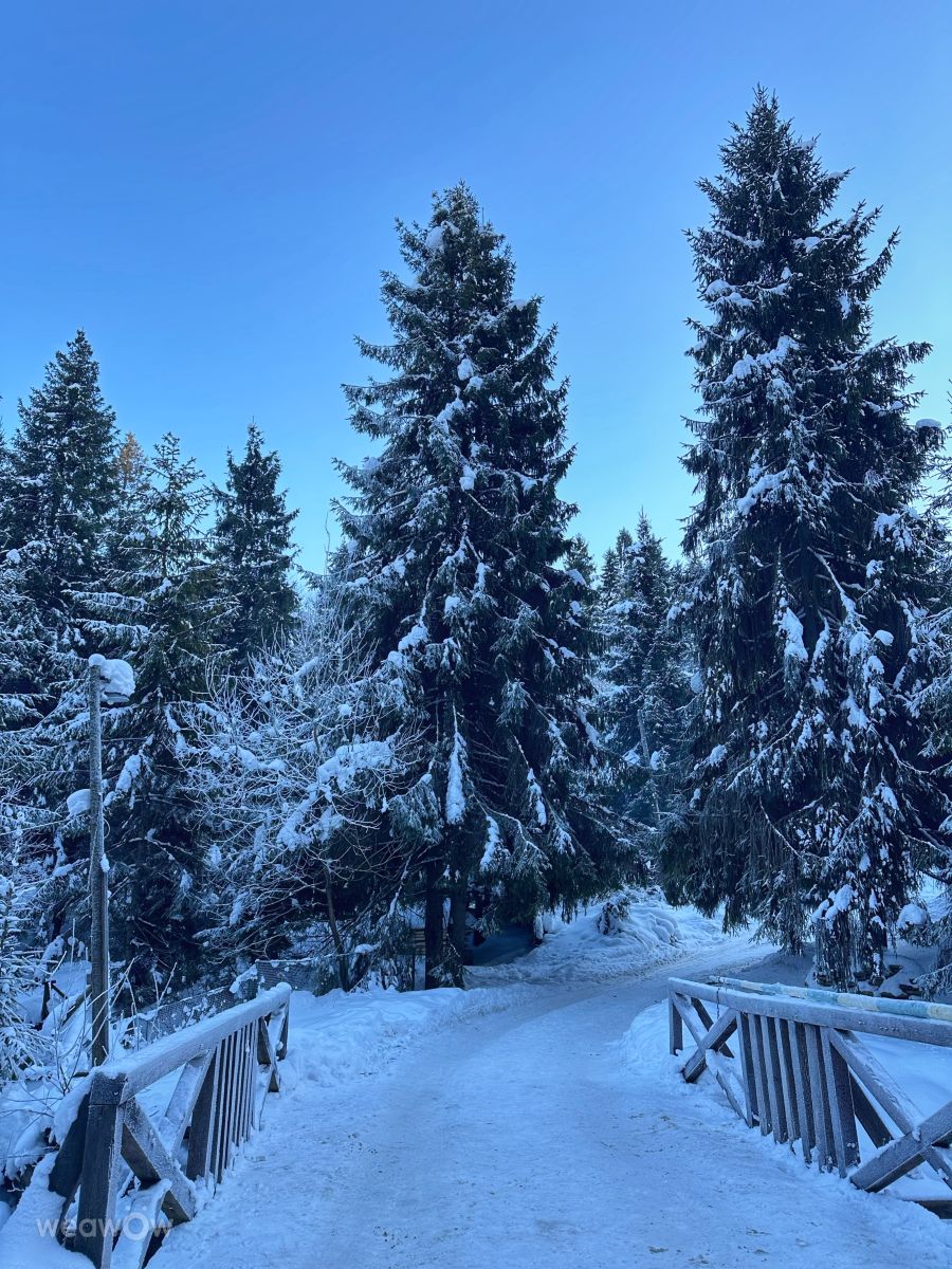 Weather Photos in Transcarpathia. Weather forecasts with beautiful photos by Інна