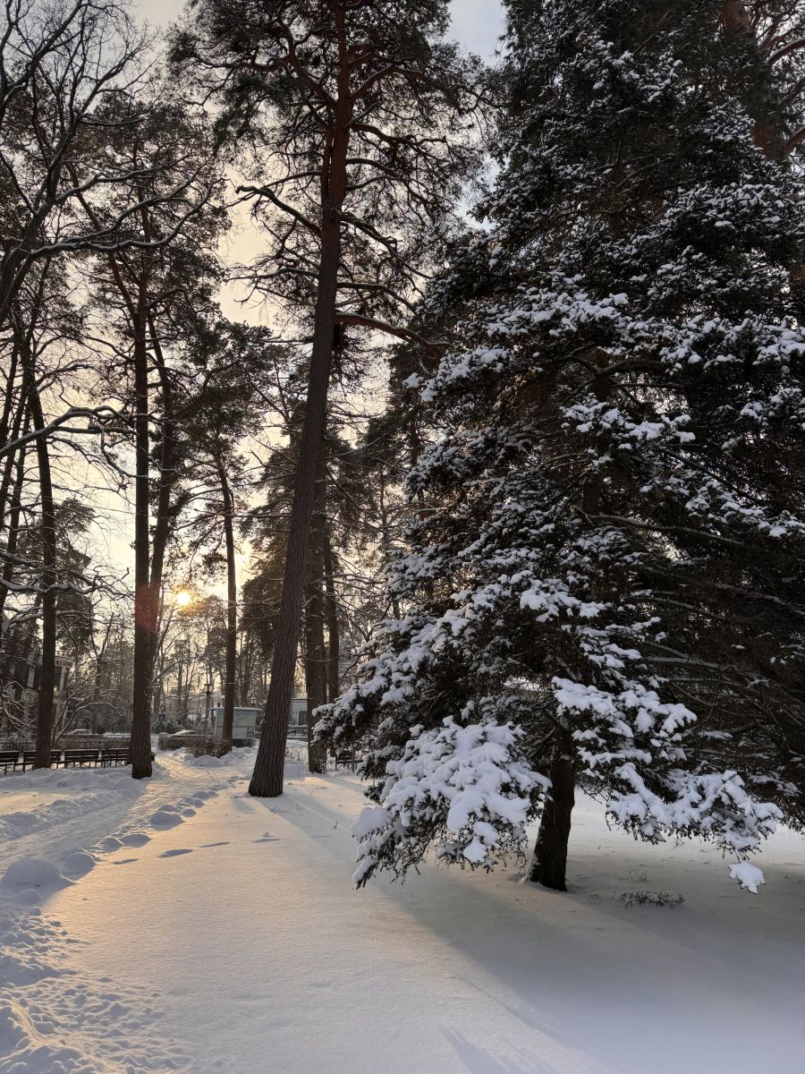 Fotos sobre el clima en Letonia. Pronósticos del tiempo con hermosas fotos de Svet-Lana