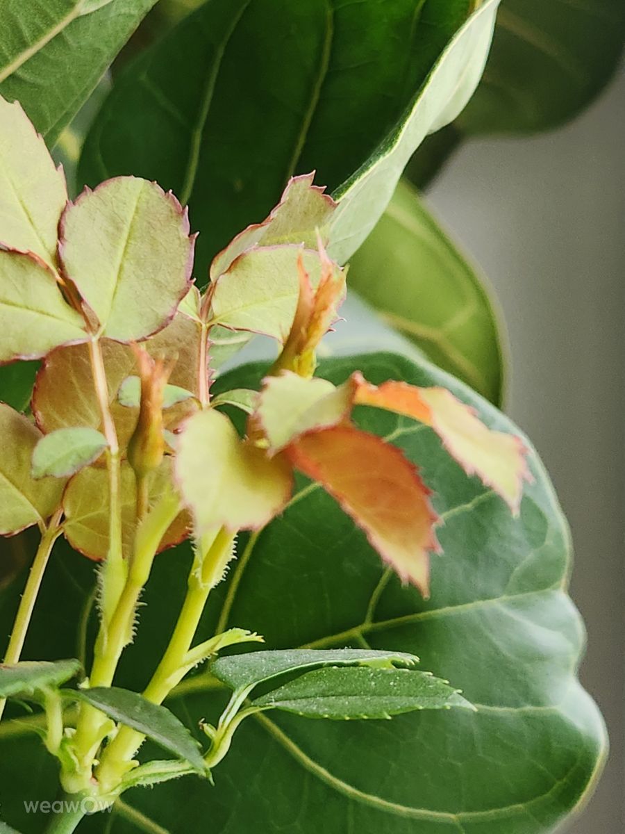 Fotos sobre el clima en Moscú. Pronósticos del tiempo con hermosas fotos de ElenaOlsen