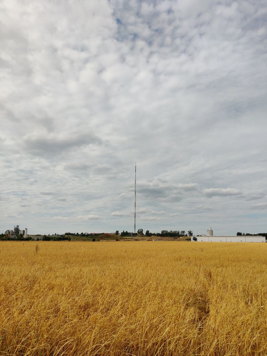 写真家 xPrzybyLx、Chwaszczynoの天気写真 - Weawow