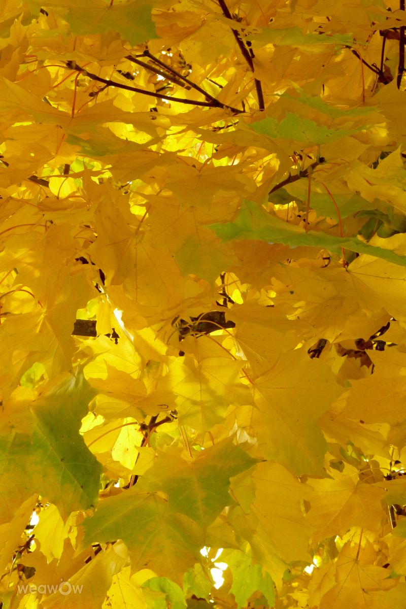 Fotos do tempo em Vilnius. Previsões do tempo com lindas fotos de Luka