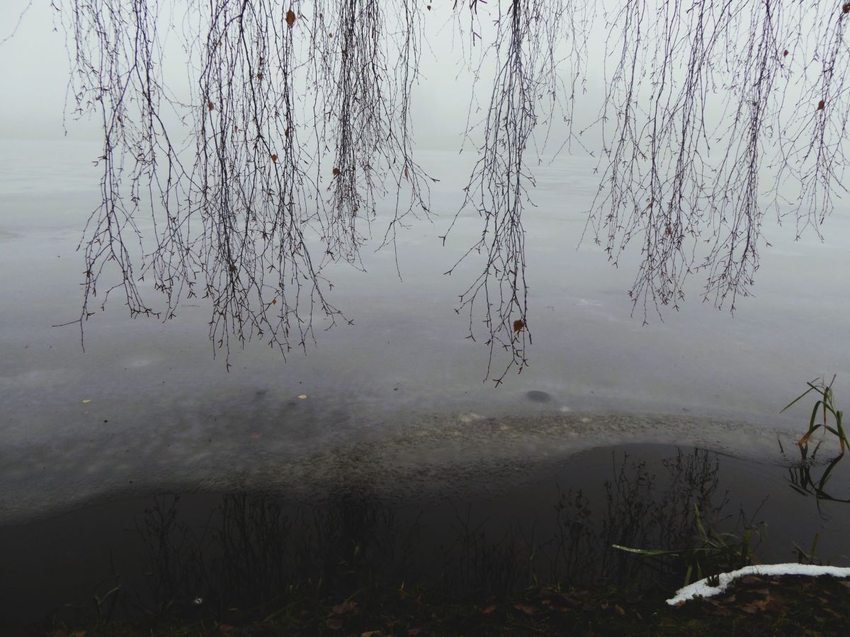 Прогнозы погоды с чудесными фотографиями, сделанными AlmaGenute53