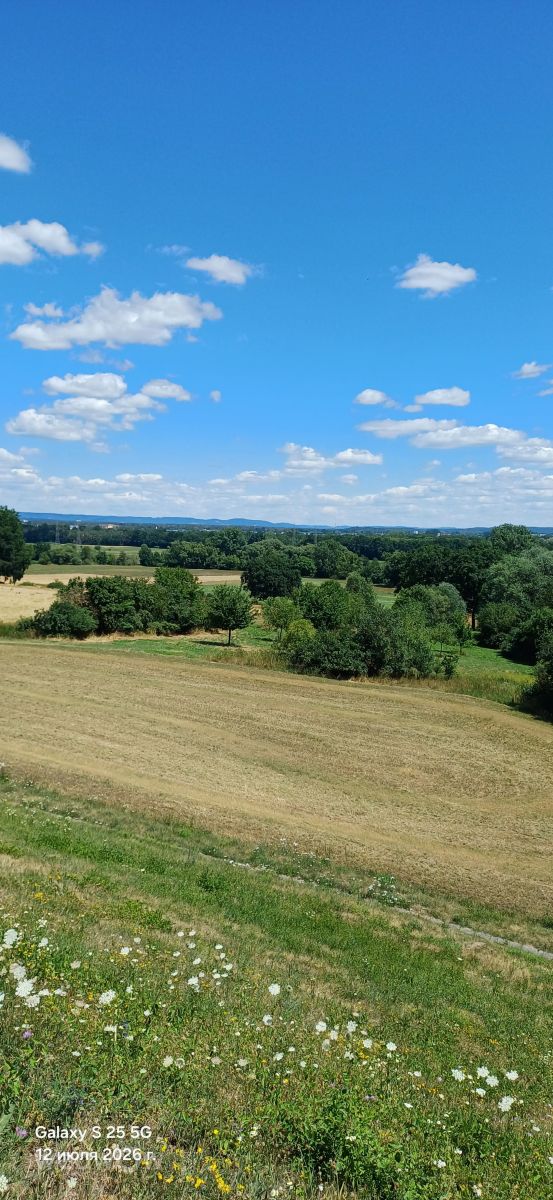 Weather Photos in Fürth. Weather forecasts with beautiful photos by vic74furt762