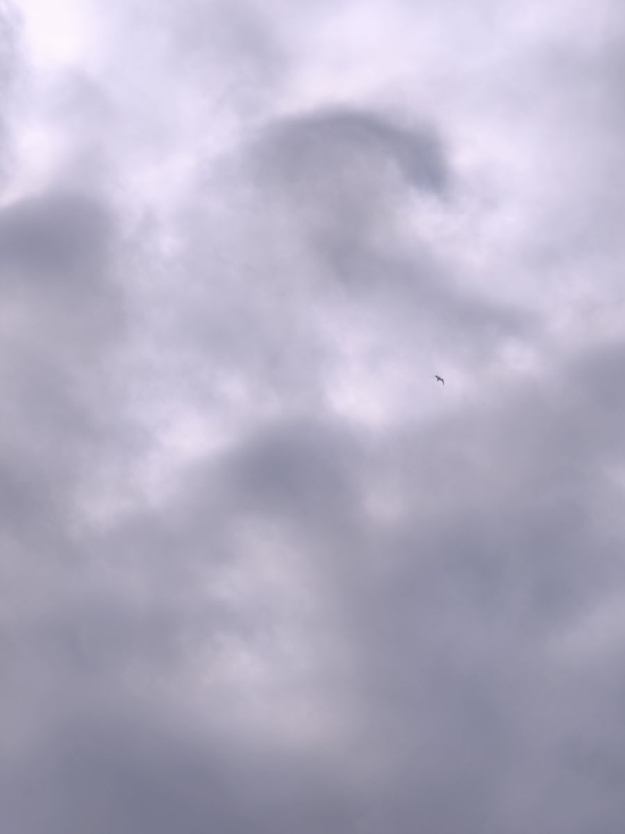 智利的天气照片. 天气预报，带MarioMartínezB精美的照片