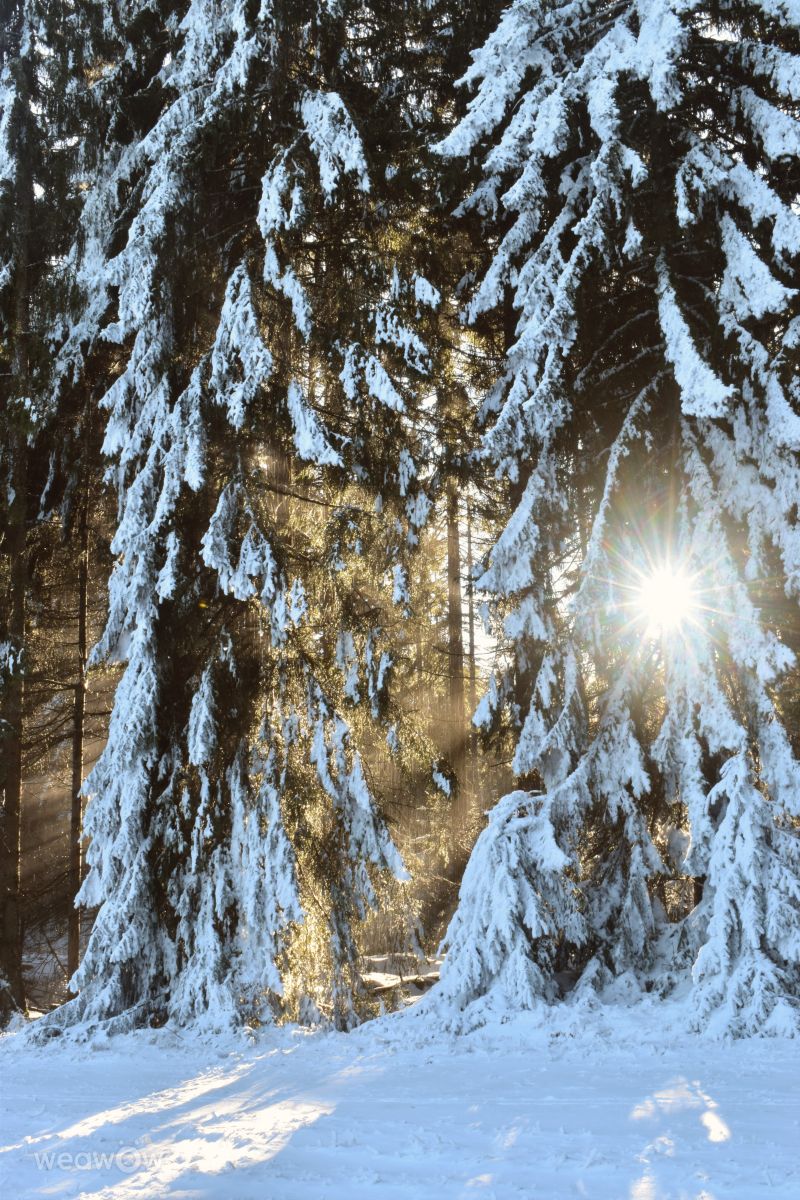 Weather Photos in Plzeň Region. Weather forecasts with beautiful photos by hejpetrpepa