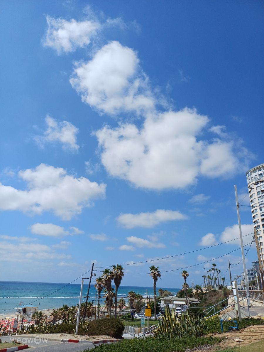 Fotos sobre el clima en Bat Yam. Pronósticos del tiempo con hermosas fotos de Zaza
