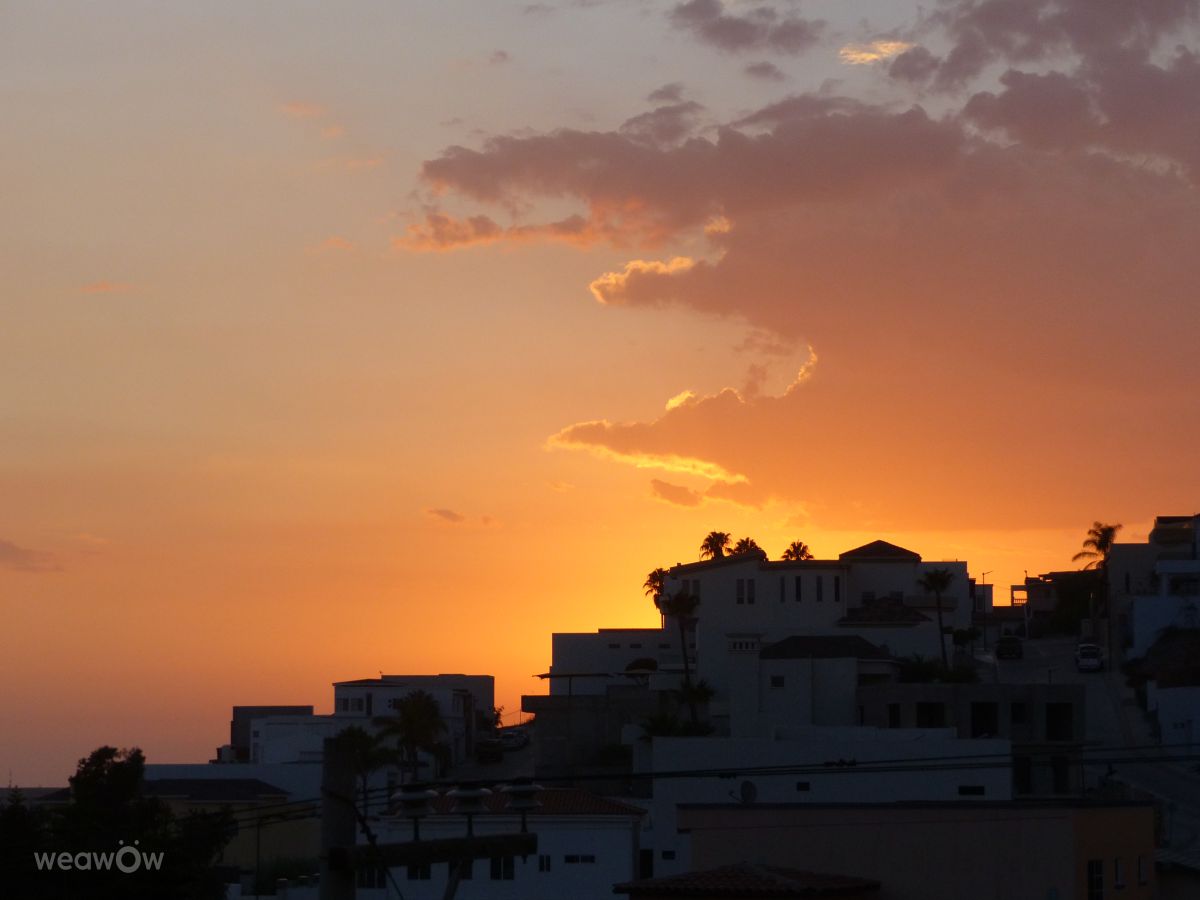 天气预报，带Roberto Goode精美的照片